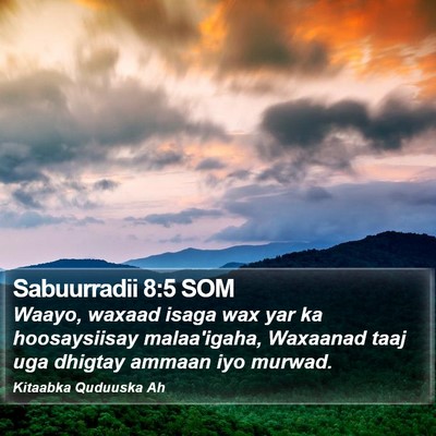 Sabuurradii 8:5 SOM Bible Verse Image