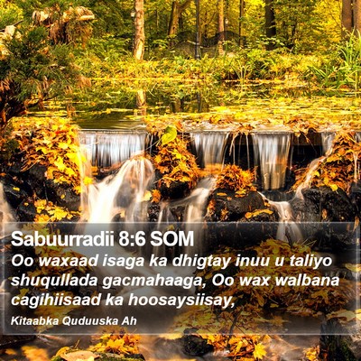 Sabuurradii 8:6 SOM Bible Verse Image