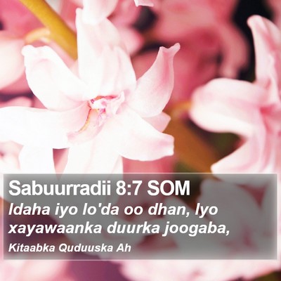 Sabuurradii 8:7 SOM Bible Verse Image