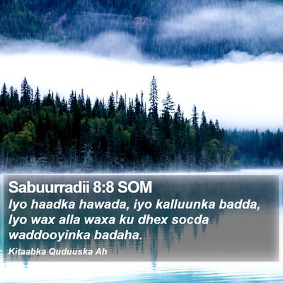 Sabuurradii 8:8 SOM Bible Verse Image