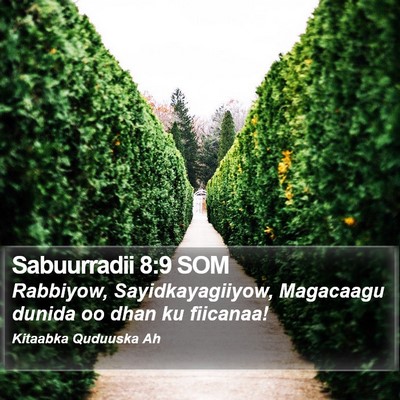 Sabuurradii 8:9 SOM Bible Verse Image