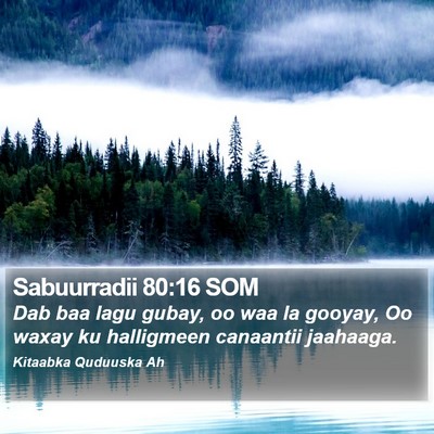 Sabuurradii 80:16 SOM Bible Verse Image