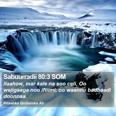 Sabuurradii 80:3 SOM Bible Verse Image