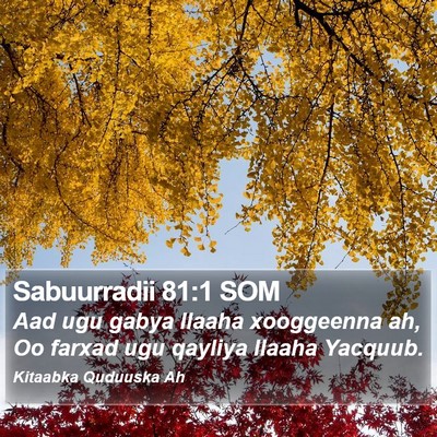Sabuurradii 81:1 SOM Bible Verse Image