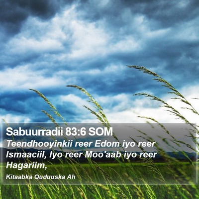 Sabuurradii 83:6 SOM Bible Verse Image