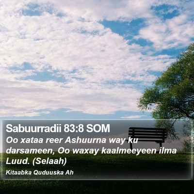 Sabuurradii 83:8 SOM Bible Verse Image