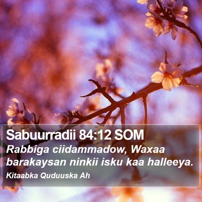 Sabuurradii 84:12 SOM Bible Verse Image