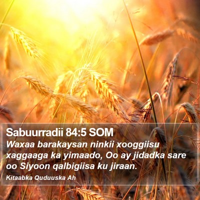 Sabuurradii 84:5 SOM Bible Verse Image