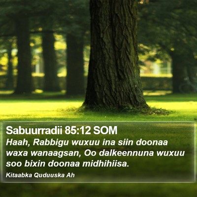 Sabuurradii 85:12 SOM Bible Verse Image
