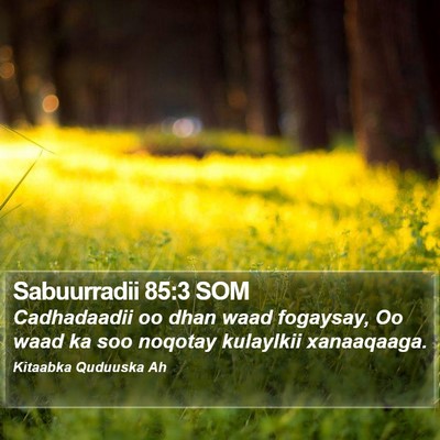Sabuurradii 85:3 SOM Bible Verse Image