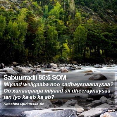 Sabuurradii 85:5 SOM Bible Verse Image