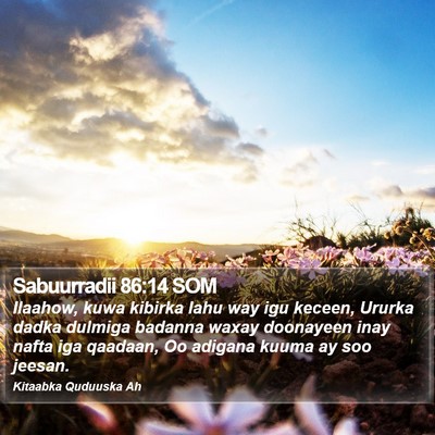 Sabuurradii 86:14 SOM Bible Verse Image