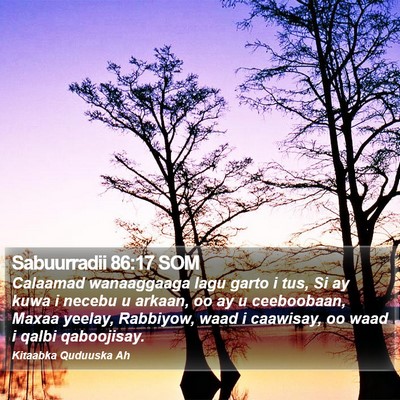 Sabuurradii 86:17 SOM Bible Verse Image