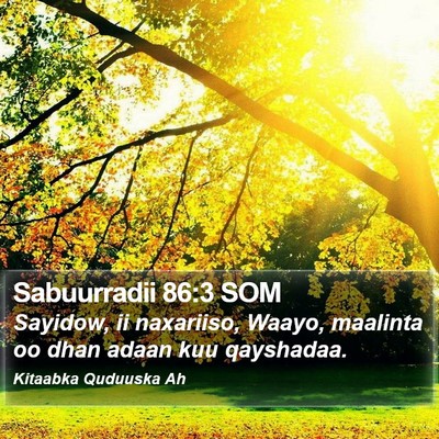 Sabuurradii 86:3 SOM Bible Verse Image
