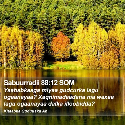 Sabuurradii 88:12 SOM Bible Verse Image