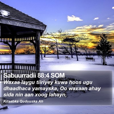 Sabuurradii 88:4 SOM Bible Verse Image