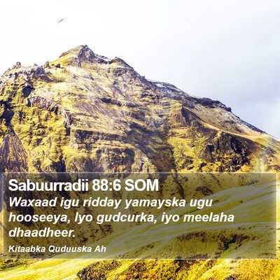 Sabuurradii 88:6 SOM Bible Verse Image