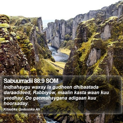 Sabuurradii 88:9 SOM Bible Verse Image