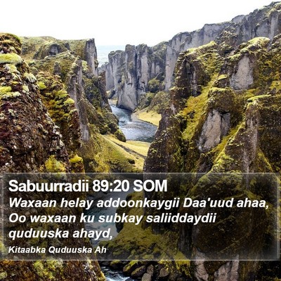 Sabuurradii 89:20 SOM Bible Verse Image