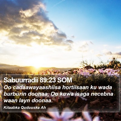 Sabuurradii 89:23 SOM Bible Verse Image
