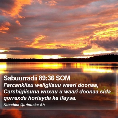 Sabuurradii 89:36 SOM Bible Verse Image