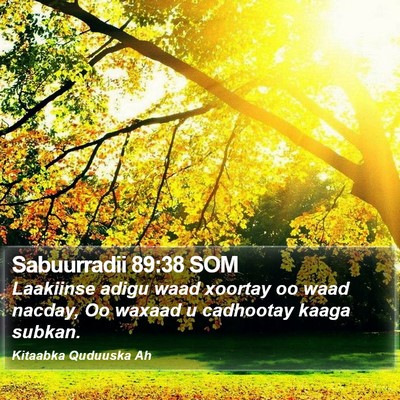 Sabuurradii 89:38 SOM Bible Verse Image