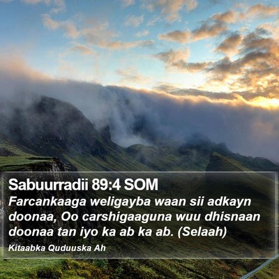 Sabuurradii 89:4 SOM Bible Verse Image
