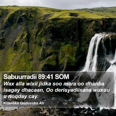 Sabuurradii 89:41 SOM Bible Verse Image