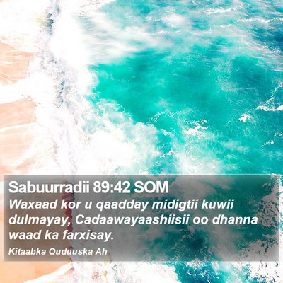 Sabuurradii 89:42 SOM Bible Verse Image