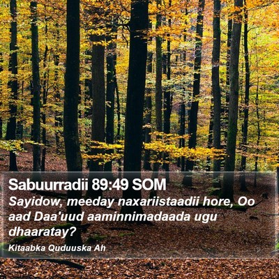 Sabuurradii 89:49 SOM Bible Verse Image
