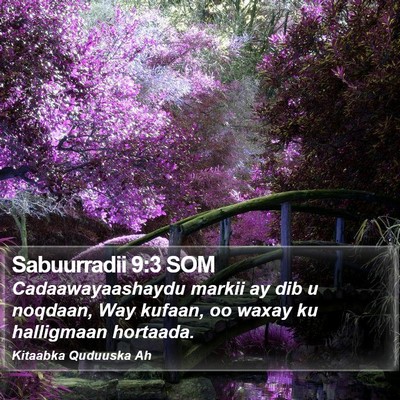 Sabuurradii 9:3 SOM Bible Verse Image