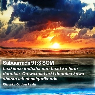 Sabuurradii 91:8 SOM Bible Verse Image