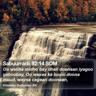 Sabuurradii 92:14 SOM Bible Verse Image