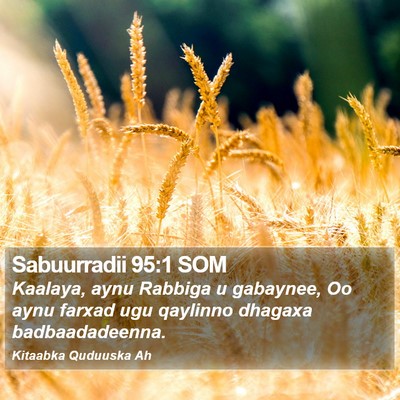 Sabuurradii 95:1 SOM Bible Verse Image