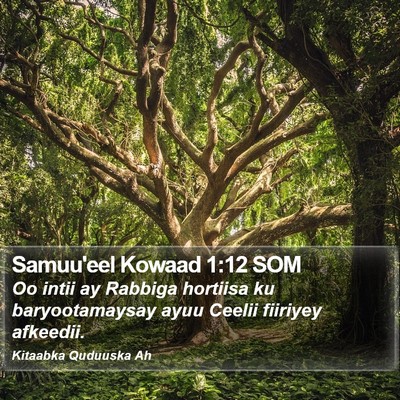 Samuu'eel Kowaad 1:12 SOM Bible Verse Image