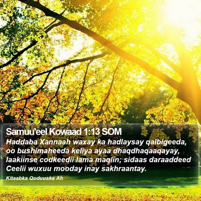 Samuu'eel Kowaad 1:13 SOM Bible Verse Image