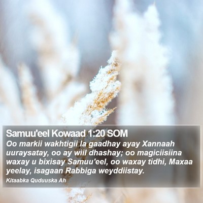 Samuu'eel Kowaad 1:20 SOM Bible Verse Image