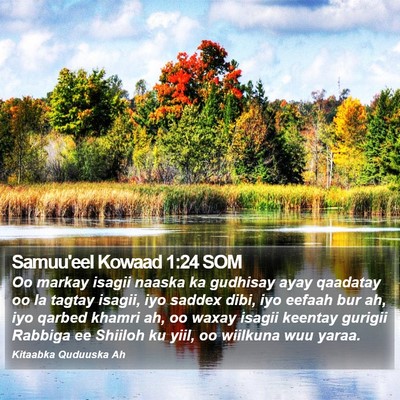Samuu'eel Kowaad 1:24 SOM Bible Verse Image