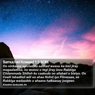 Samuu'eel Kowaad 1:3 SOM Bible Verse Image