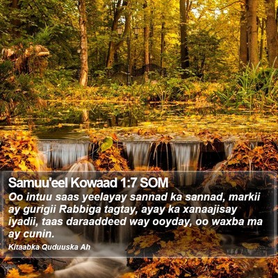 Samuu'eel Kowaad 1:7 SOM Bible Verse Image