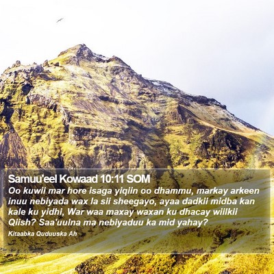 Samuu'eel Kowaad 10:11 SOM Bible Verse Image