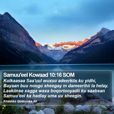 Samuu'eel Kowaad 10:16 SOM Bible Verse Image
