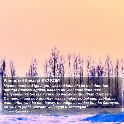Samuu'eel Kowaad 10:2 SOM Bible Verse Image