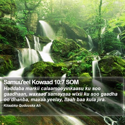 Samuu'eel Kowaad 10:7 SOM Bible Verse Image