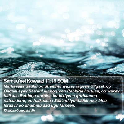 Samuu'eel Kowaad 11:15 SOM Bible Verse Image