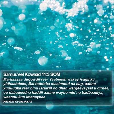 Samuu'eel Kowaad 11:3 SOM Bible Verse Image
