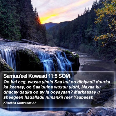 Samuu'eel Kowaad 11:5 SOM Bible Verse Image