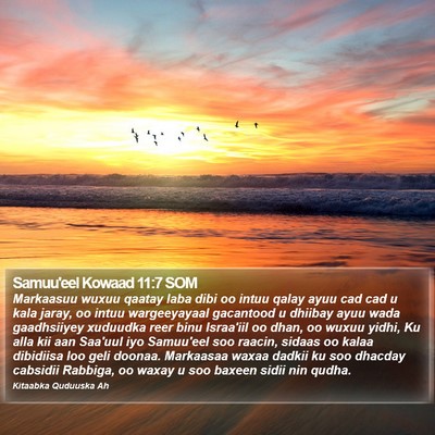 Samuu'eel Kowaad 11:7 SOM Bible Verse Image