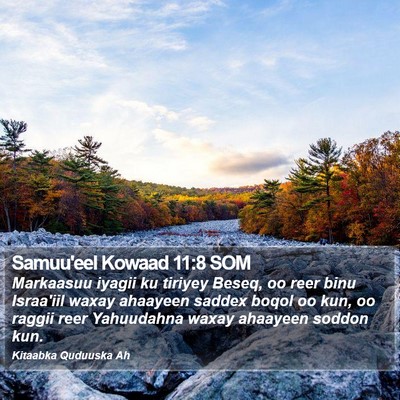 Samuu'eel Kowaad 11:8 SOM Bible Verse Image