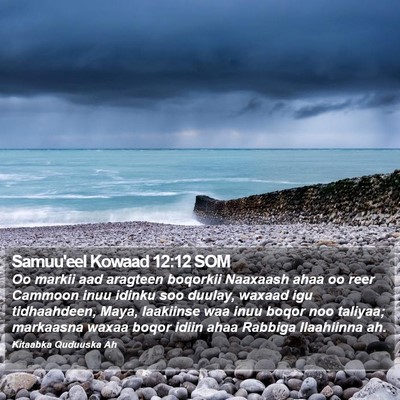 Samuu'eel Kowaad 12:12 SOM Bible Verse Image
